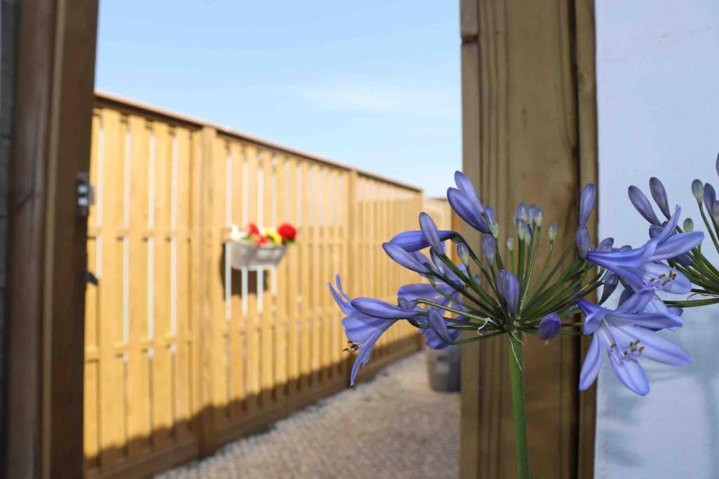 St Agnes Perfect Location, Hot Tub, Sea Views, Gym Apartamento Exterior foto